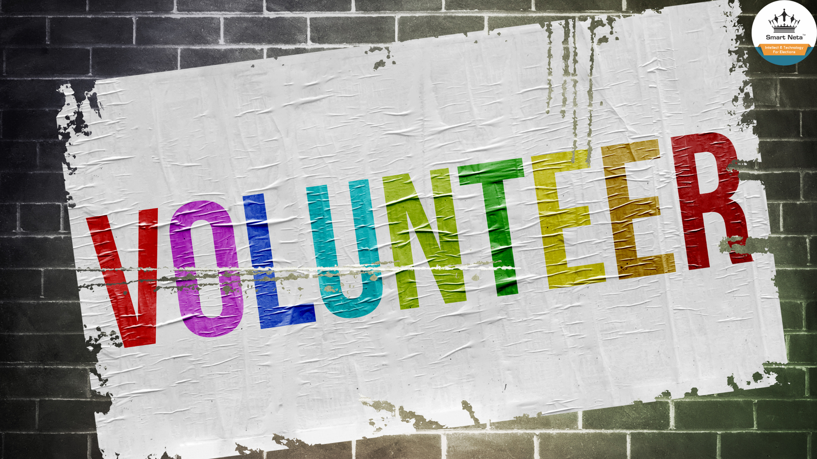 volunteer in politics